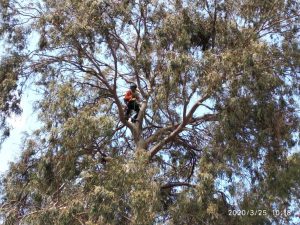 IMG-20200327-WA0035