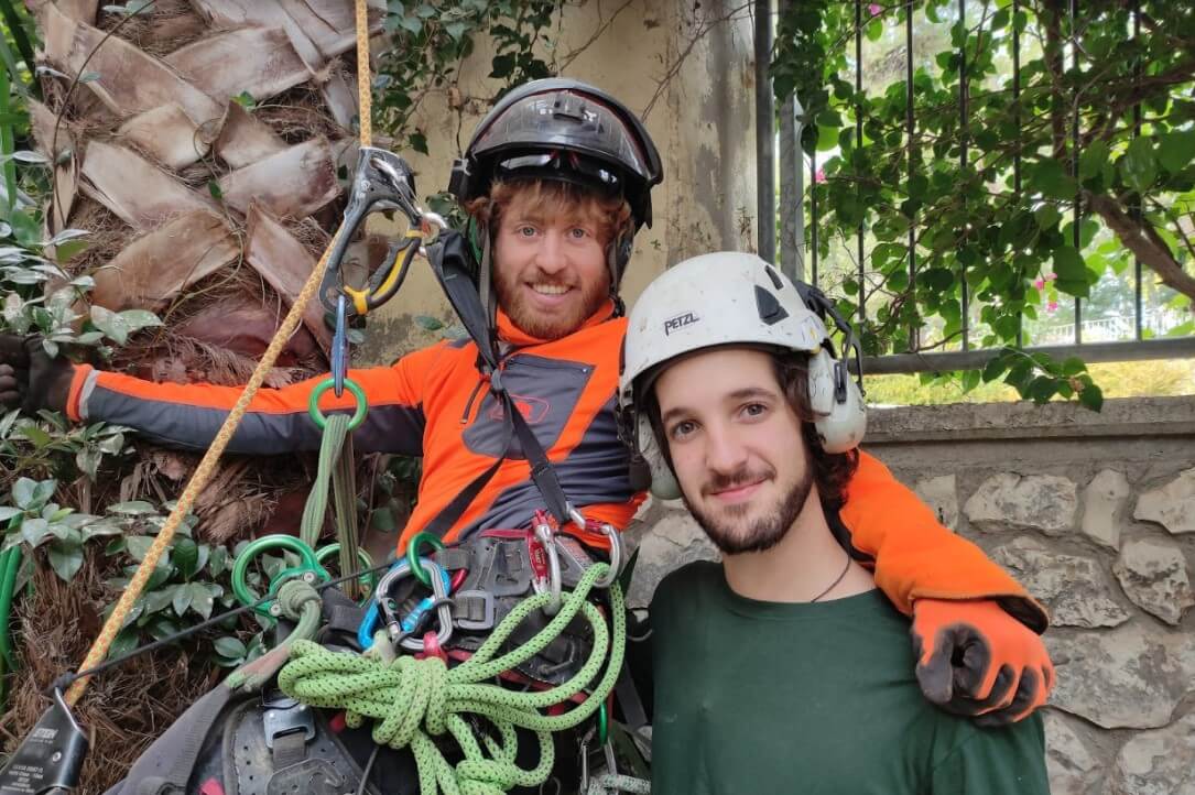 גיזום או כריתה - רץ בגובה