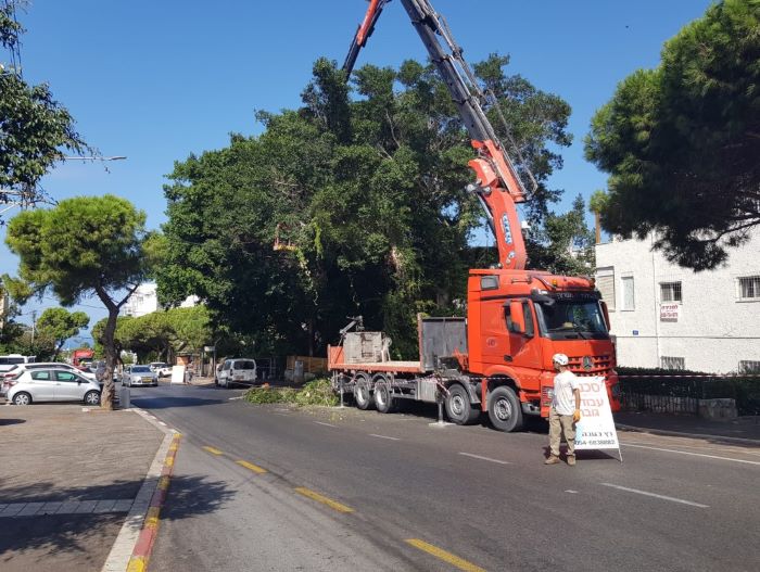 גיזום בגובה עם מנוף - רץ בגובה
